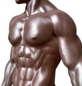 fit body mannequin
